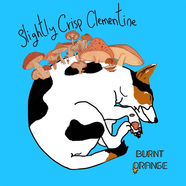 Slightly Crisp Clementine