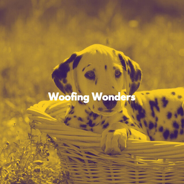 Woofing Wonders