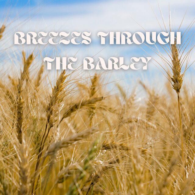 Breezes through the Barley