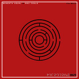 The Maze