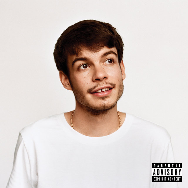 Cover art for album Pony by Rex Orange County