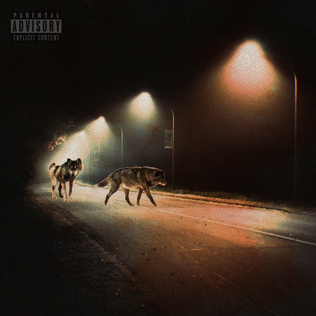 Wolves On the Block