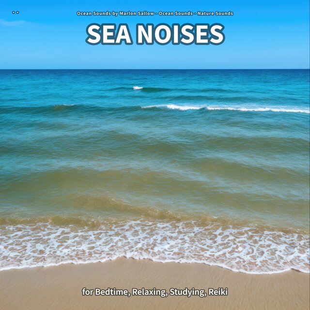 ** Sea Noises for Bedtime, Relaxing, Studying, Reiki
