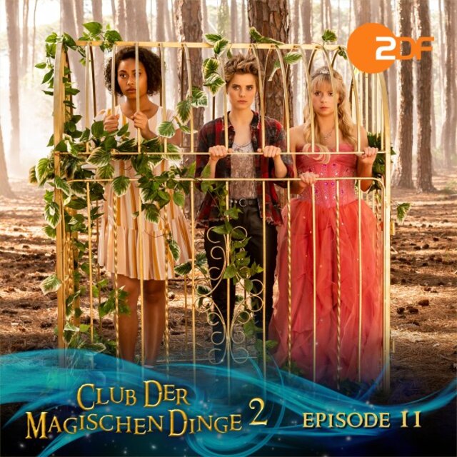 Staffel 2, Folge 11: Verschwunden im Zauberwald (Das Original-Hörspiel zur TV-Serie)