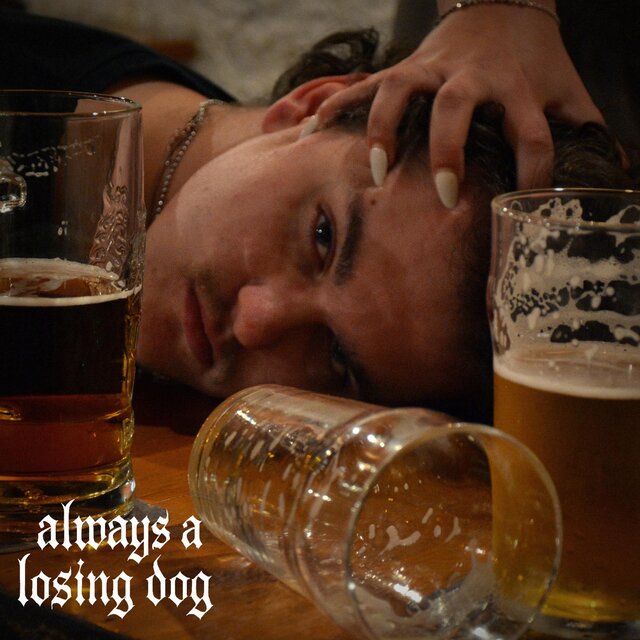 Always a losing dog