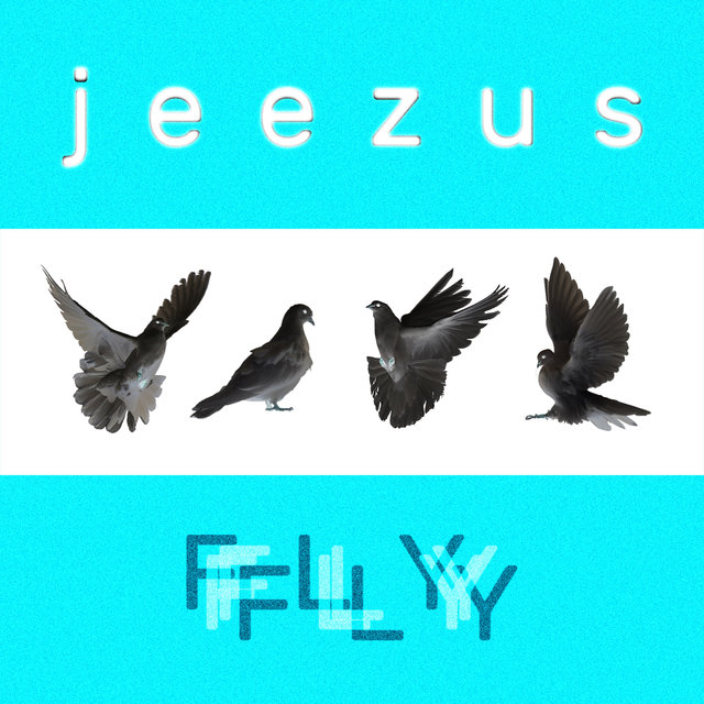 Fly