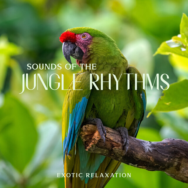 Sounds of the Jungle Rhythms (Exotic Relaxation)