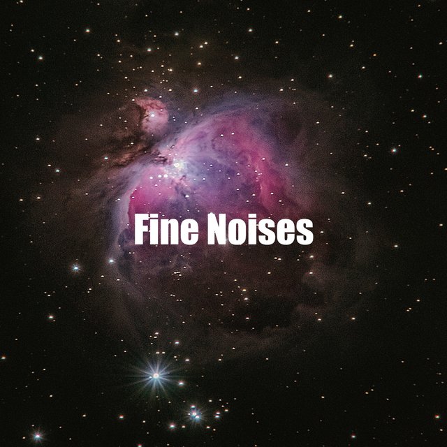 Fine Noises