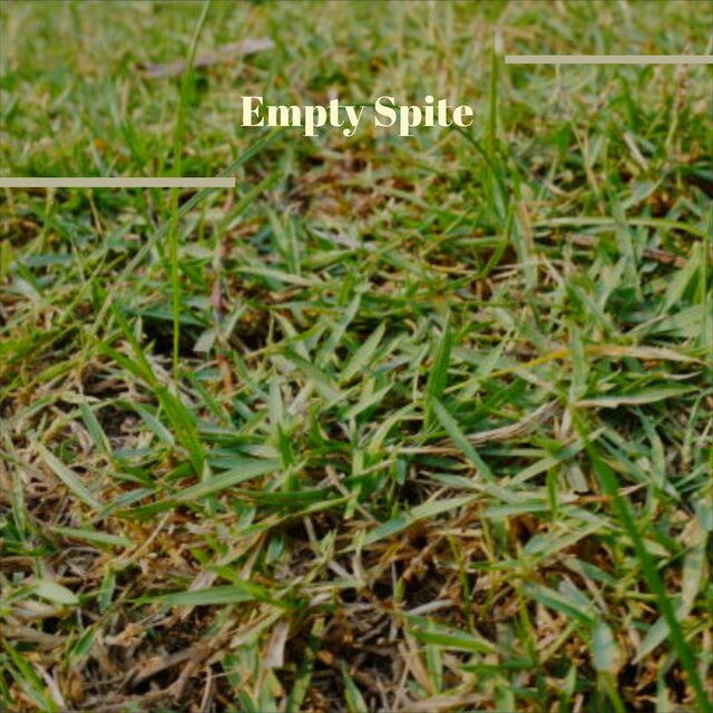 Empty Spite
