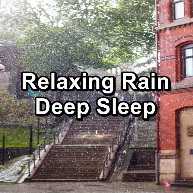 Relaxing Rain Deep Sleep