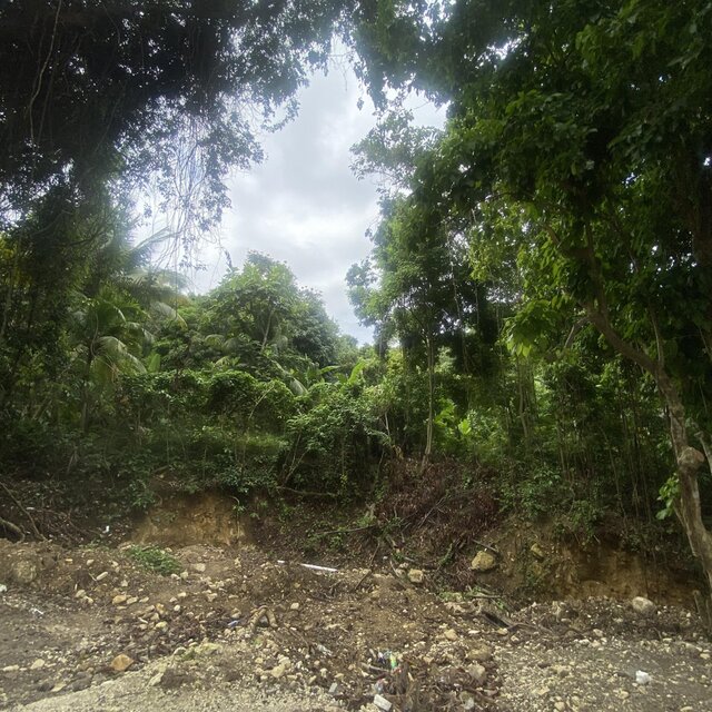 Treemix