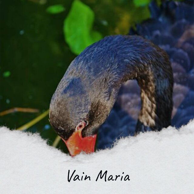 Vain Maria
