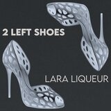 2 Left Shoes