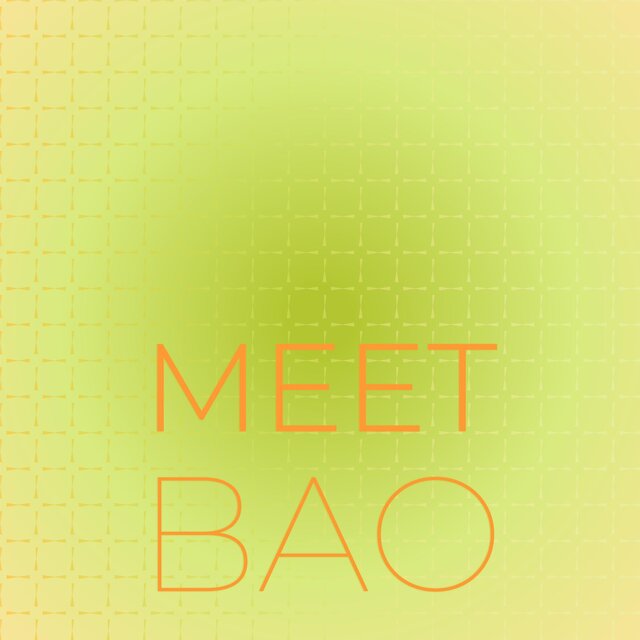 Meet Bao