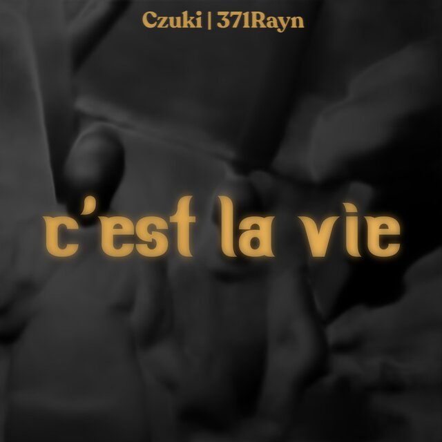 C'est la vie (feat. 371Rayn)
