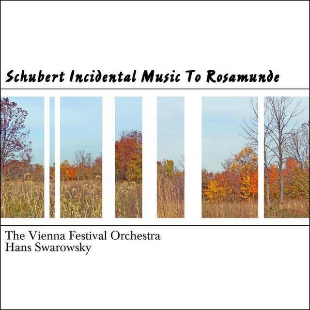 Schubert Incidental Music To Rosamunde