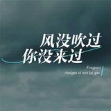 风没吹过你没来过