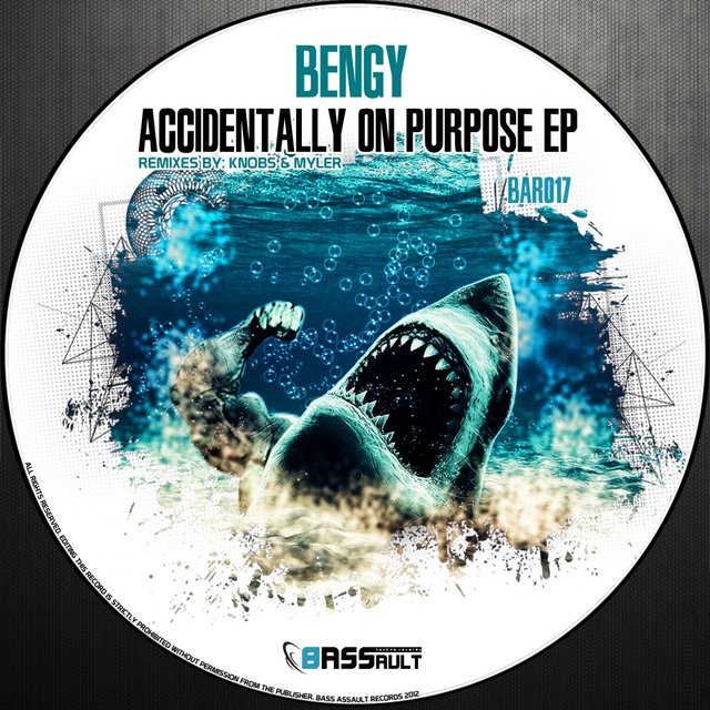 Accidentally On Purpose Ep