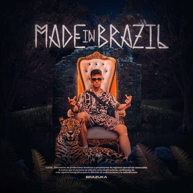 MADE IN BRAZIL