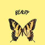 Beauty