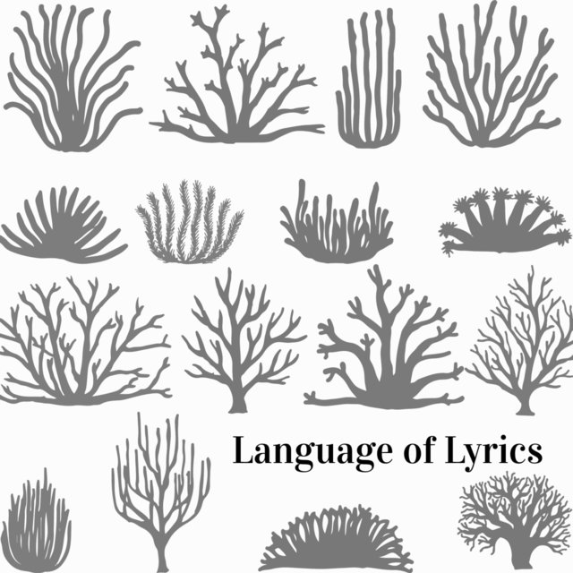 Language Of Lyrics On Tidal