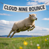 Cloud Nine Bounce