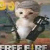 frii fare