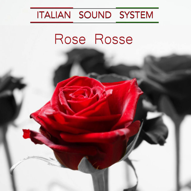 Rose Rosse