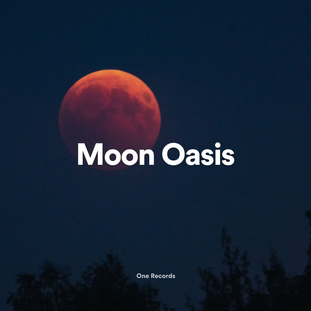 Moon Oasis