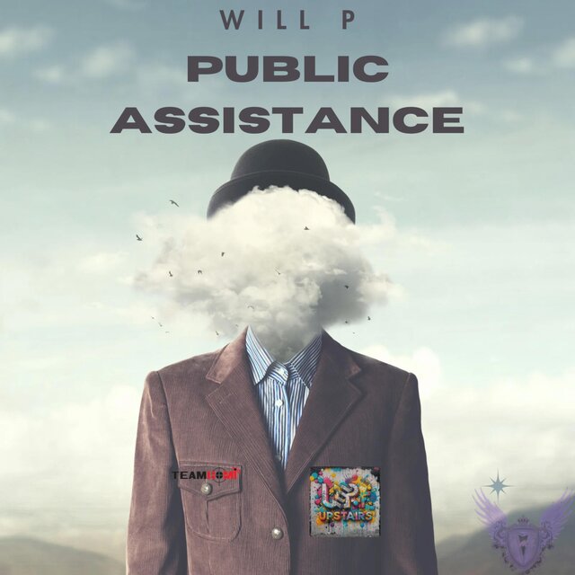 Public Assistance