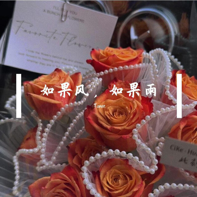 如果风，如果雨