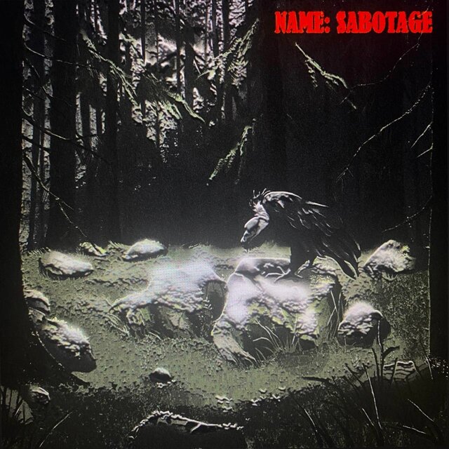 NAME: SABOTAGE