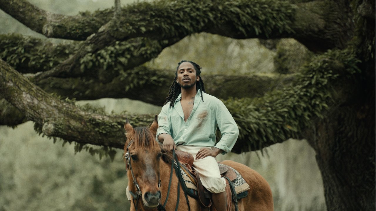 Black Habits I (Official Video)