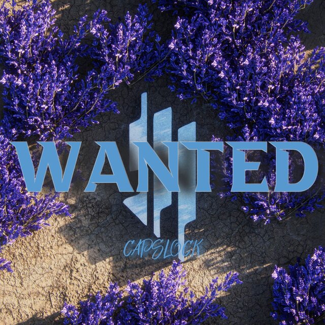 Wanted