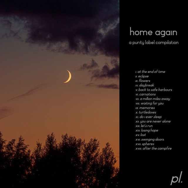 Home Again