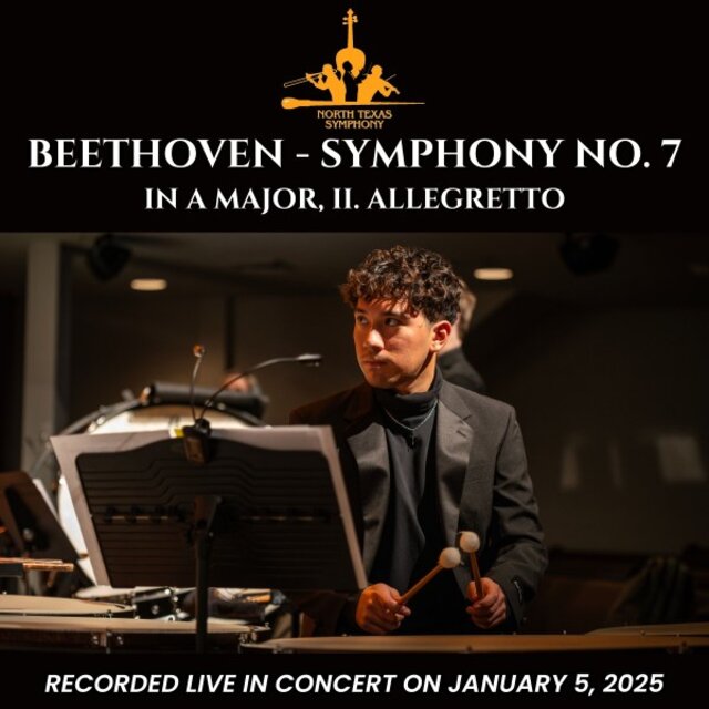 Beethoven: Symphony No. 7 in A Major, Op. 92 - II. Allegretto