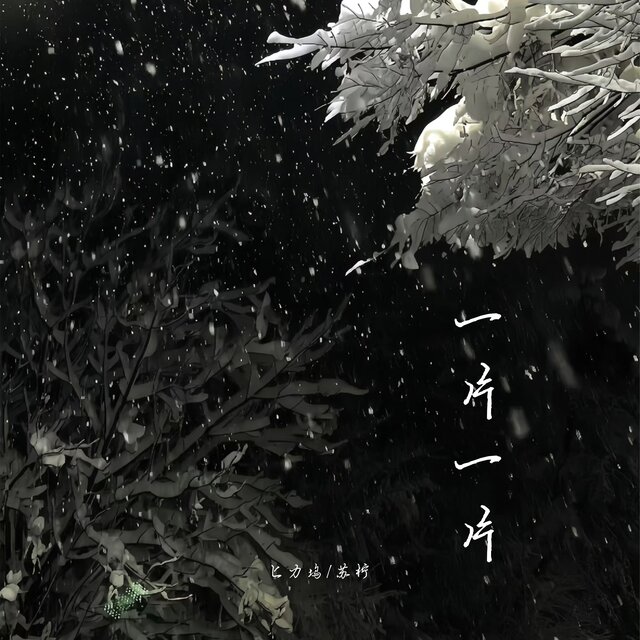 一片一片