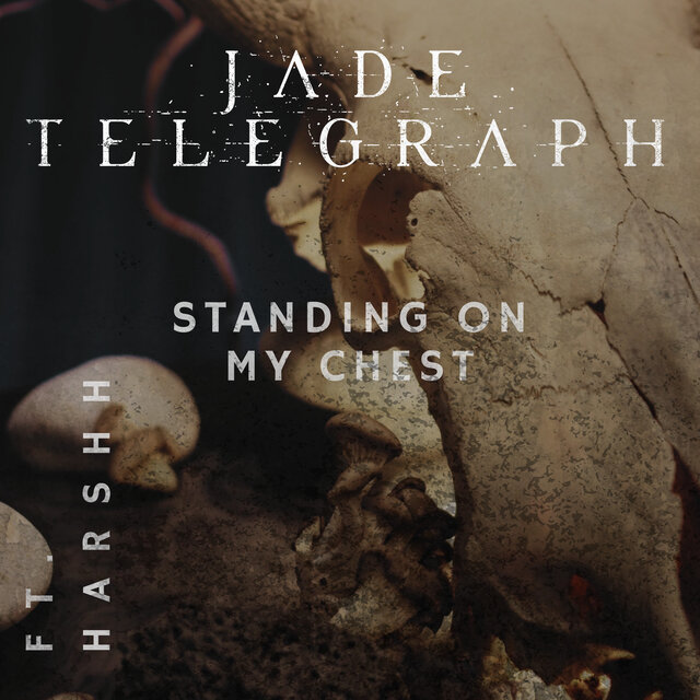Standing On My Chest