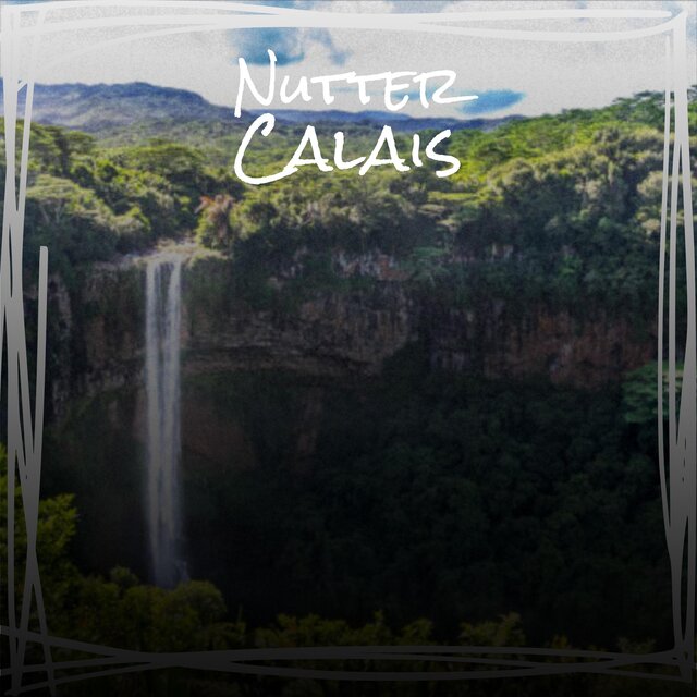 Nutter Calais