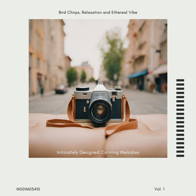 Intricately Designed Calming Melodies - Bird Chirps, Relaxation and Ethereal Vibe, Vol. 01