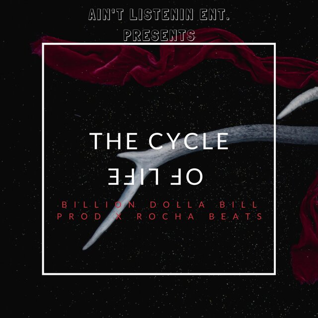 The Cycle Of Life