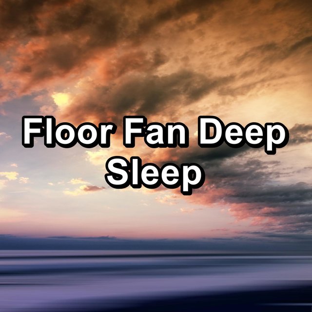 Floor Fan Deep Sleep
