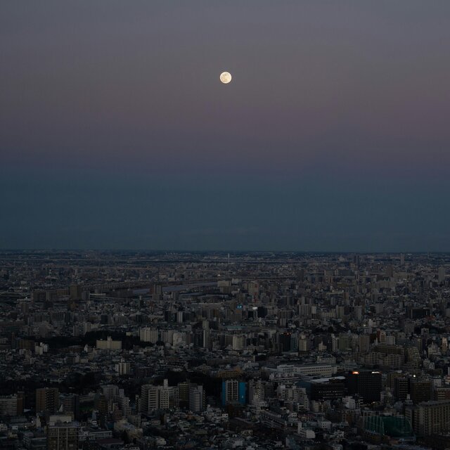 Moonlit Reverie