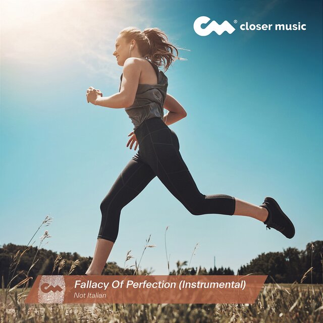 Fallacy of Perfection (Instrumental)