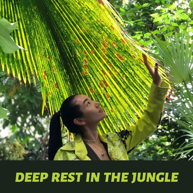 Deep Rest in the Jungle