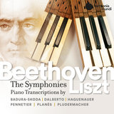 Symphony No. 1 in C Major, Op. 21: I. Adagio molto . Allegro con brio