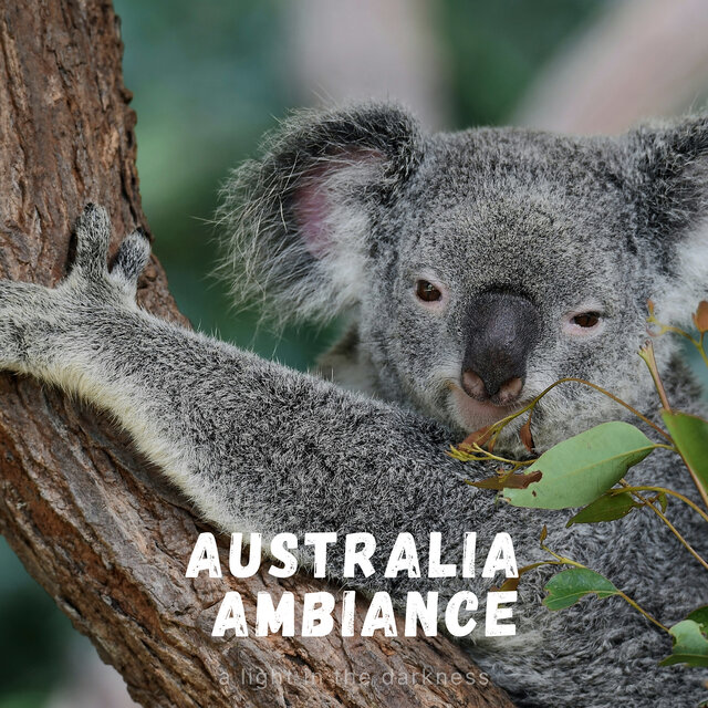 Australia Ambiance