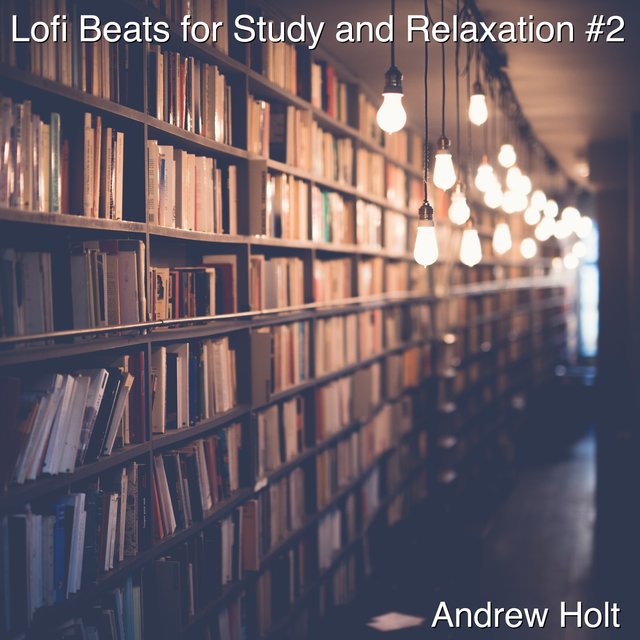 Lofi Beats for Study and Relaxation #2