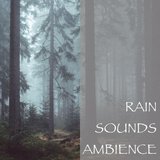 Rain Sounds - Casual Thunderstorm