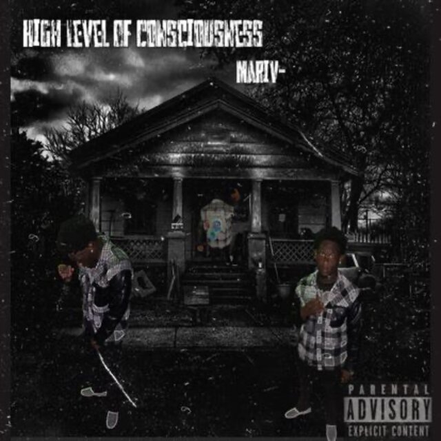 HighLevelOfConsciousness